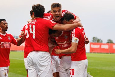 Diogo Prioste ile Benfica B 'nin oyuncuları Liga Portekiz 2 maçında SL Benfica B ve Academico de Viseu FC takımları arasında Francisco Neto' nun attığı gol üstüne kutlama yaparken görüldü.