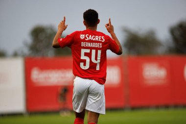 Francisco Neto, Liga Portekiz 2 maçında SL Benfica B ve Academico de Viseu FC takımları arasında atılan golü kutlarken görüldü.