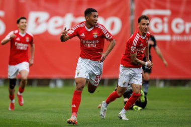 Francisco Neto ve Francisco Domingues, SL Benfica B ve Academico de Viseu FC takımları arasında oynanan Liga Portekiz 2 maçında gol attıktan sonra kutlama yaparken görüldü.