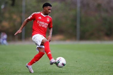 Luan Farias, Liga Portekiz 2 maçında SL Benfica B ve Academico de Viseu FC takımları arasında görüldü.
