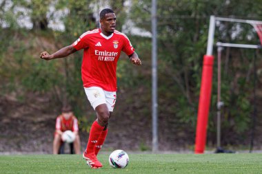 Gustavo Marques Liga Portekiz 2 maçında SL Benfica B ve Academico de Viseu FC takımları arasında görüldü.
