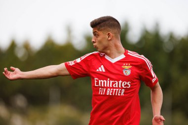 Diogo Prioste, Liga Portekiz 2 maçında SL Benfica B ve Academico de Viseu FC takımları arasında görüldü.