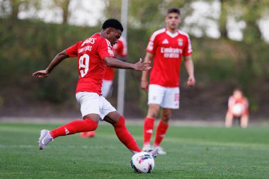 Luan Farias, Liga Portekiz 2 maçında SL Benfica B ve Academico de Viseu FC takımları arasında görüldü.
