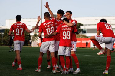 SL Benfica B oyuncuları Liga Portekiz 2 maçında Luan Farias 'tan gol üstüne gol atarken SL Benfica B ve Academico de Viseu FC takımları arasında görüldü.