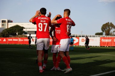Jose Melro, Luan Farias ve Diogo Prioste, SL Benfica B ve Academico de Viseu FC takımları arasında oynanan Liga Portekiz 2 maçında gol üstüne gol atarken görüldü.
