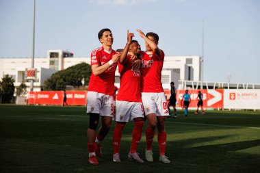 Jose Melro, Luan Farias ve Diogo Prioste, SL Benfica B ve Academico de Viseu FC takımları arasında oynanan Liga Portekiz 2 maçında gol üstüne gol atarken görüldü.