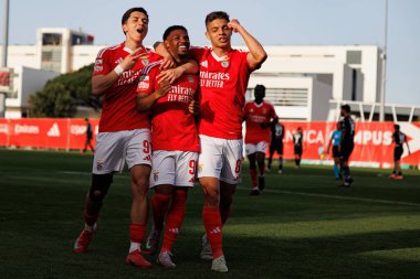 Jose Melro, Luan Farias ve Diogo Prioste, SL Benfica B ve Academico de Viseu FC takımları arasında oynanan Liga Portekiz 2 maçında gol üstüne gol atarken görüldü.