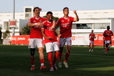 Jose Melro, Luan Farias ve Diogo Prioste, SL Benfica B ve Academico de Viseu FC takımları arasında oynanan Liga Portekiz 2 maçında gol üstüne gol atarken görüldü.