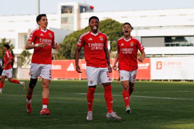 Jose Melro, Luan Farias ve Diogo Prioste, SL Benfica B ve Academico de Viseu FC takımları arasında oynanan Liga Portekiz 2 maçında gol üstüne gol atarken görüldü.