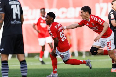 Luan Farias ve Jose Melro, SL Benfica B ve Academico de Viseu FC takımları arasında oynanan Liga Portekiz 2 maçında gol üstüne gol atarken görüldü.