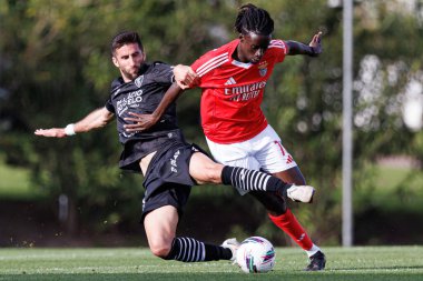 Luis Silva ve Beni Souza, Liga Portekiz 2 maçında SL Benfica B ve Academico de Viseu FC takımları arasında görüldü.