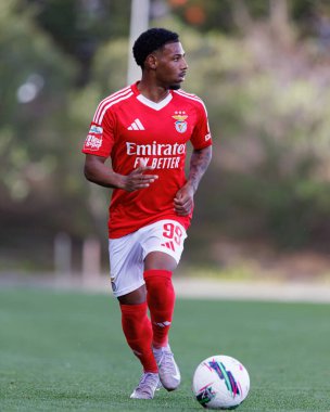 Luan Farias, Liga Portekiz 2 maçında SL Benfica B ve Academico de Viseu FC takımları arasında görüldü.