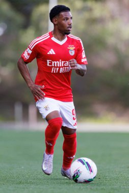 Luan Farias, Liga Portekiz 2 maçında SL Benfica B ve Academico de Viseu FC takımları arasında görüldü.