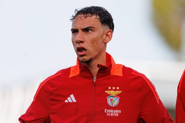 Francisco Domingues, Liga Portekiz 2 maçında SL Benfica B ve Academico de Viseu FC takımları arasında görüldü.