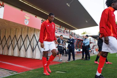 Gustavo Marques Liga Portekiz 2 maçında SL Benfica B ve Academico de Viseu FC takımları arasında görüldü.