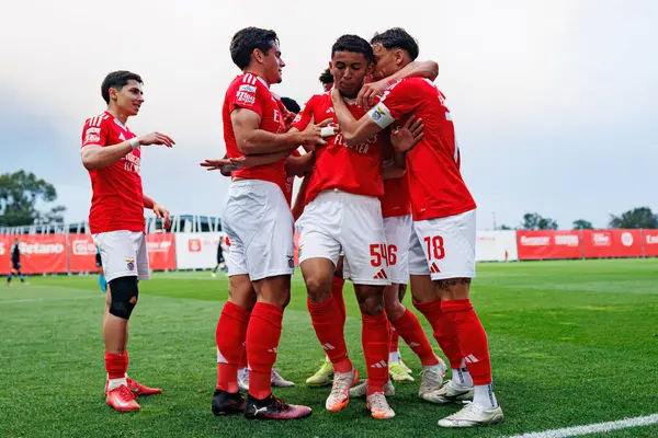 Benfica B oyuncuları Liga Portekiz 2 maçında SL Benfica B ve Academico de Viseu FC takımları arasında Francisco Neto 'dan gol üstüne gol atarken görüldü.