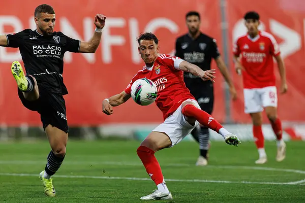Henrique Gomes ve Francisco Domingues Liga Portekiz 2 maçında SL Benfica B ve Academico de Viseu FC takımları arasında görüldü.