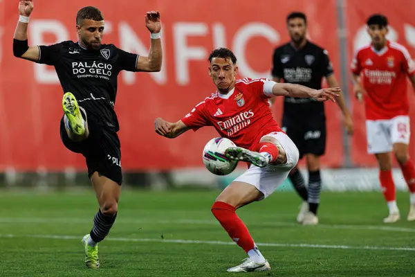 Henrique Gomes ve Francisco Domingues Liga Portekiz 2 maçında SL Benfica B ve Academico de Viseu FC takımları arasında görüldü.
