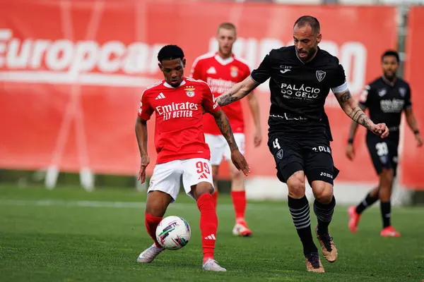 Luan Farias ve Andre Almeida Liga Portekiz 2 maçında SL Benfica B ve Academico de Viseu FC takımları arasında görüldü.