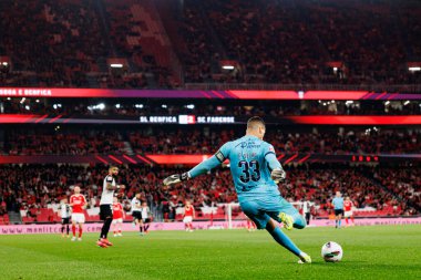 Ricardo Velho Liga Portekiz maçı sırasında SL Benfica ve SC Farense (Maciej Rogowski)