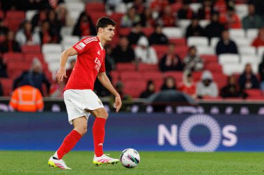 Antonio Silva Liga Portekiz maçı sırasında SL Benfica ve SC Farense (Maciej Rogowski)
