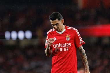 SL Benfica ve SC Farense (Maciej Rogowski) takımları arasında Liga Portekiz maçında görülen Angel Di Maria)
