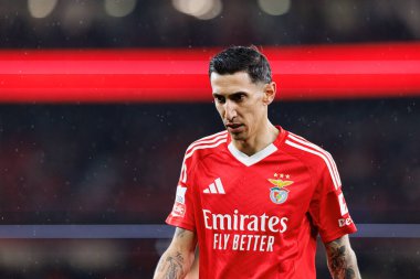 SL Benfica ve SC Farense (Maciej Rogowski) takımları arasında Liga Portekiz maçında görülen Angel Di Maria)