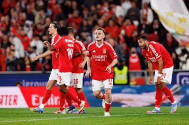 SL Benfica oyuncuları Liga Portekiz maçı sırasında SL Benfica ve SC Farense (Maciej Rogowski)