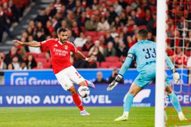 SL Benfica ve SC Farense (Maciej Rogowski) takımları arasında Liga Portekiz maçında Vangelis Pavlidis görüldü)