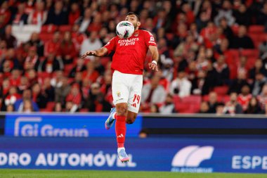 SL Benfica ve SC Farense (Maciej Rogowski) takımları arasında Liga Portekiz maçında Vangelis Pavlidis görüldü)