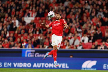 SL Benfica ve SC Farense (Maciej Rogowski) takımları arasında Liga Portekiz maçında Vangelis Pavlidis görüldü)