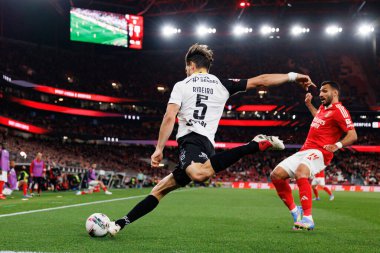 Tomas Ribeiro, Liga Portekiz maçı sırasında SL Benfica ve SC Farense (Maciej Rogowski) takımları arasında görüldü.)