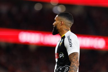 Derick Poloni, Liga Portekiz maçında SL Benfica ve SC Farense (Maciej Rogowski) takımları arasında görüldü.)