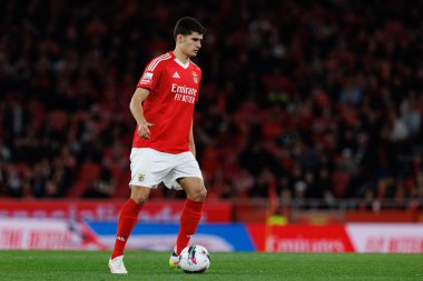 Antonio Silva Liga Portekiz maçı sırasında SL Benfica ve SC Farense (Maciej Rogowski)