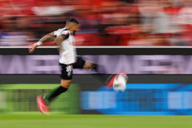 Derick Poloni, Liga Portekiz maçında SL Benfica ve SC Farense (Maciej Rogowski) takımları arasında görüldü.)
