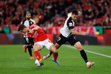 Samuel Dahl ve Miguel Menino Liga Portekiz maçı sırasında SL Benfica ve SC Farense (Maciej Rogowski)