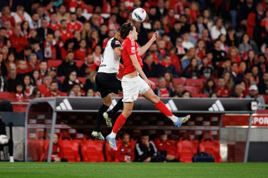 Artur Jorge ve Alvaro Carreras, Liga Portekiz maçı sırasında SL Benfica ve SC Farense (Maciej Rogowski)