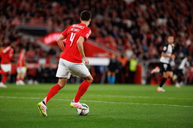 Antonio Silva Liga Portekiz maçı sırasında SL Benfica ve SC Farense (Maciej Rogowski)