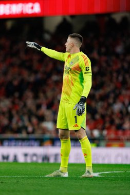 Anatoliy Trubin, Liga Portekiz maçı sırasında SL Benfica ve SC Farense (Maciej Rogowski)