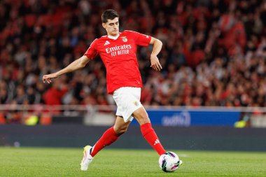 Antonio Silva Liga Portekiz maçı sırasında SL Benfica ve SC Farense (Maciej Rogowski)