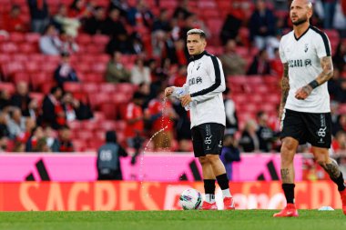 SL Benfica ve SC Farense (Maciej Rogowski) takımları arasında Liga Portekiz maçı sırasında Rony Lopes görüldü.)