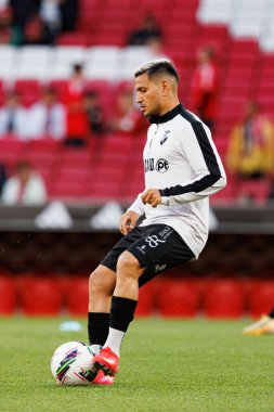 SL Benfica ve SC Farense (Maciej Rogowski) takımları arasında Liga Portekiz maçı sırasında Rony Lopes görüldü.)