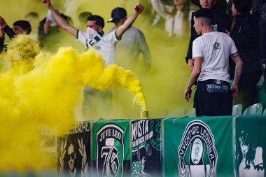 Estadio Jose Alvalade 'deki (Maciej Rogowski) Sportif CP ve SC Braga takımları arasında oynanan Liga Portekiz maçı sırasında Sportmenlerin taraftarları görülüyor)