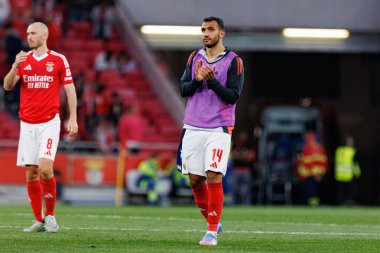 SL Benfica ve FC Arouca (Maciej Rogowski) takımları arasında oynanan Liga Portekiz maçında Vangelis Pavlidis görüldü)