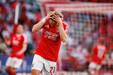 Andreas Schjelderup, Liga Portekiz maçı sırasında SL Benfica ve FC Arouca (Maciej Rogowski) takımları arasında görüldü.)