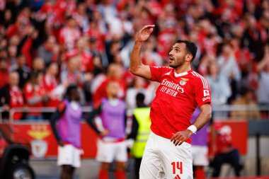 Vangelis Pavlidis, SL Benfica ve FC Arouca (Maciej Rogowski) takımları arasında oynanan Liga Portekiz maçında gol attıktan sonra kutlama yaparken görülüyor.)