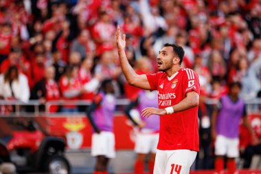 Vangelis Pavlidis, SL Benfica ve FC Arouca (Maciej Rogowski) takımları arasında oynanan Liga Portekiz maçında gol attıktan sonra kutlama yaparken görülüyor.)