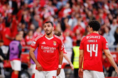 Vangelis Pavlidis, SL Benfica ve FC Arouca (Maciej Rogowski) takımları arasında oynanan Liga Portekiz maçında gol attıktan sonra kutlama yaparken görülüyor.)