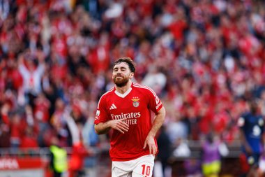 Orkun Kokcu, Liga Portekiz maçında SL Benfica ve FC Arouca (Maciej Rogowski)