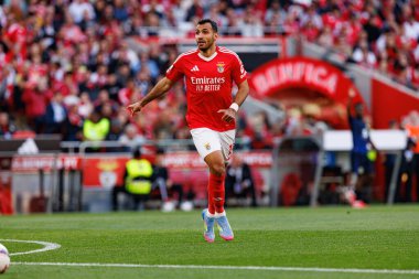 SL Benfica ve FC Arouca (Maciej Rogowski) takımları arasında oynanan Liga Portekiz maçında Vangelis Pavlidis görüldü)